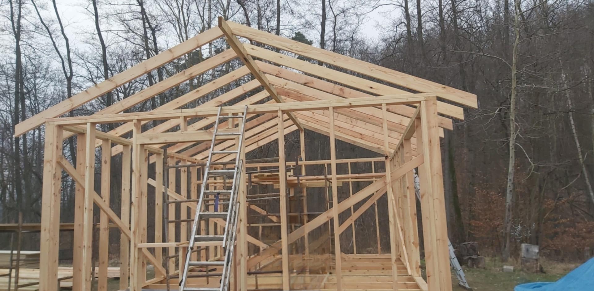 Surowa konstrukcja szkieletowa budynku z drewna, widoczna drabina oparta o ścianę, tło stanowią drzewa bez liści.