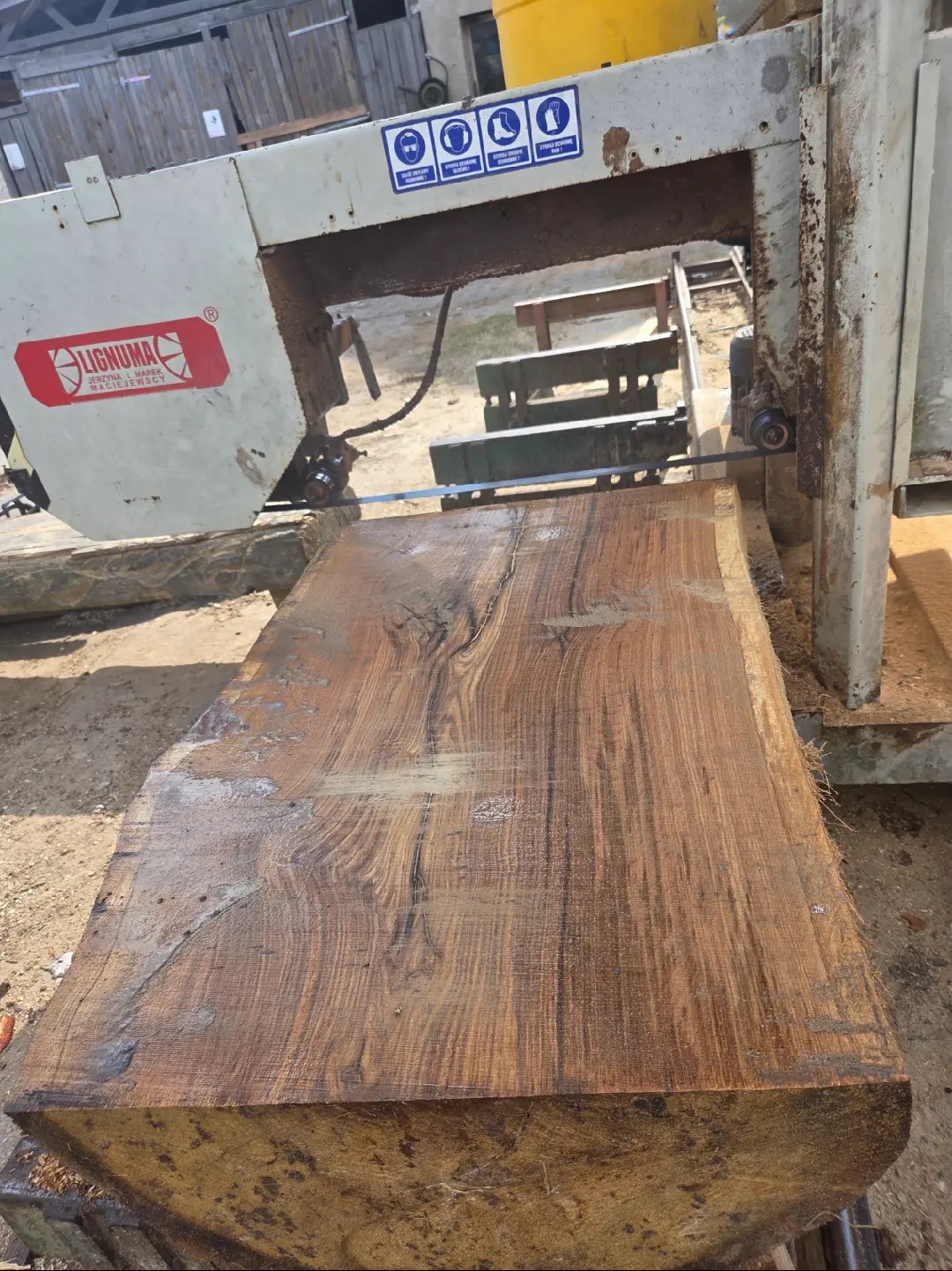 Duży, mokry kawałek drewna o wyraźnym usłojeniu leży na stole piły taśmowej Lignuma. Widoczne ostrze piły i tabliczka BHP.
