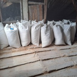 Konrad Rymarski - Rząd worków z trocinami lub wiórami drzewnymi na poddaszu z ceglanymi ścianami i drewnianymi elementami konstrukcyjnymi.