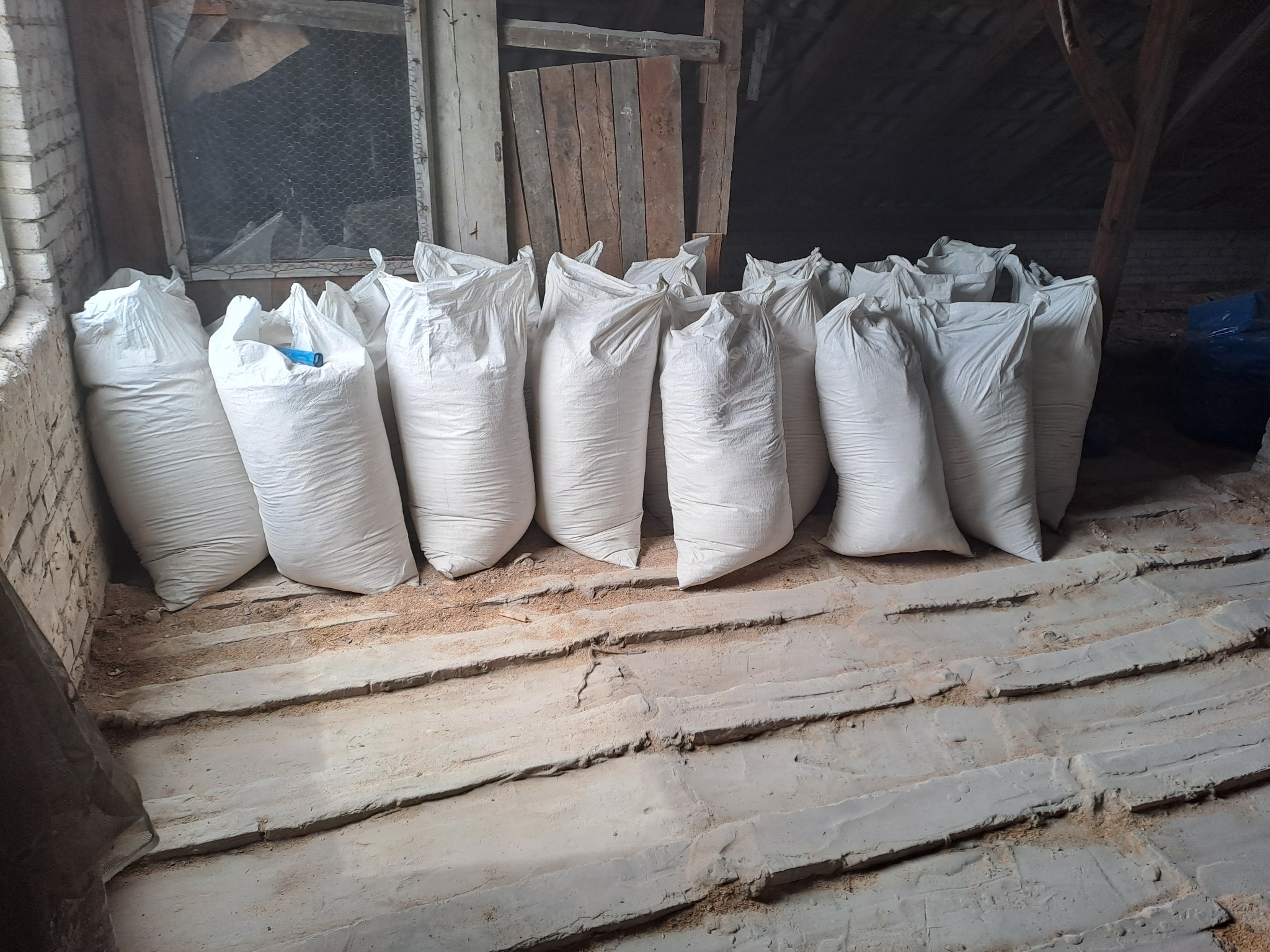 Rząd worków z trocinami lub wiórami drzewnymi na poddaszu z ceglanymi ścianami i drewnianymi elementami konstrukcyjnymi.