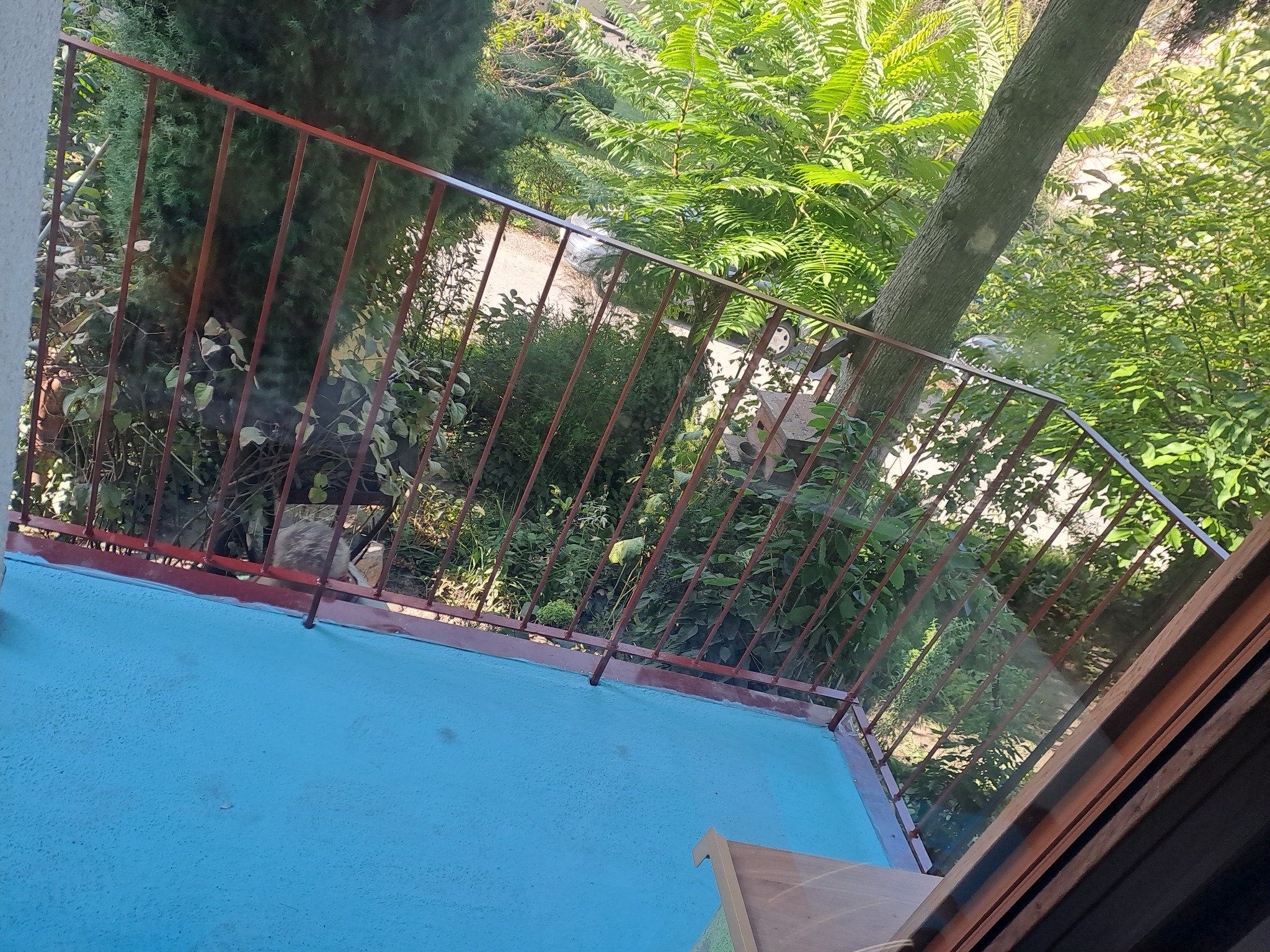 Widok z balkonu z turkusową podłogą i czerwoną barierką, na zewnątrz bujna zieleń drzew i krzewów.