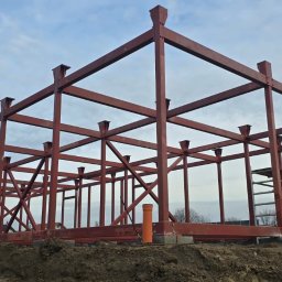 Domy szkieletowe Liszki 2