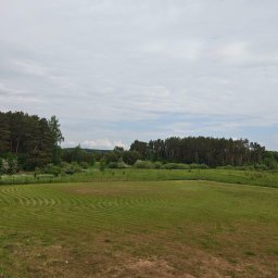 Baltastic Szymon Balewicz - Krajobraz z równo skoszoną trawą w charakterystyczne pasy, otoczoną lasem pod pochmurnym niebem. Widoczne ślady koszenia tworzą wzór na trawniku.