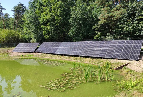 Instalacja paneli słonecznych na gruncie, z widokiem na staw pokryty liliami wodnymi i otoczony drzewami, tworząca malowniczy krajobraz.