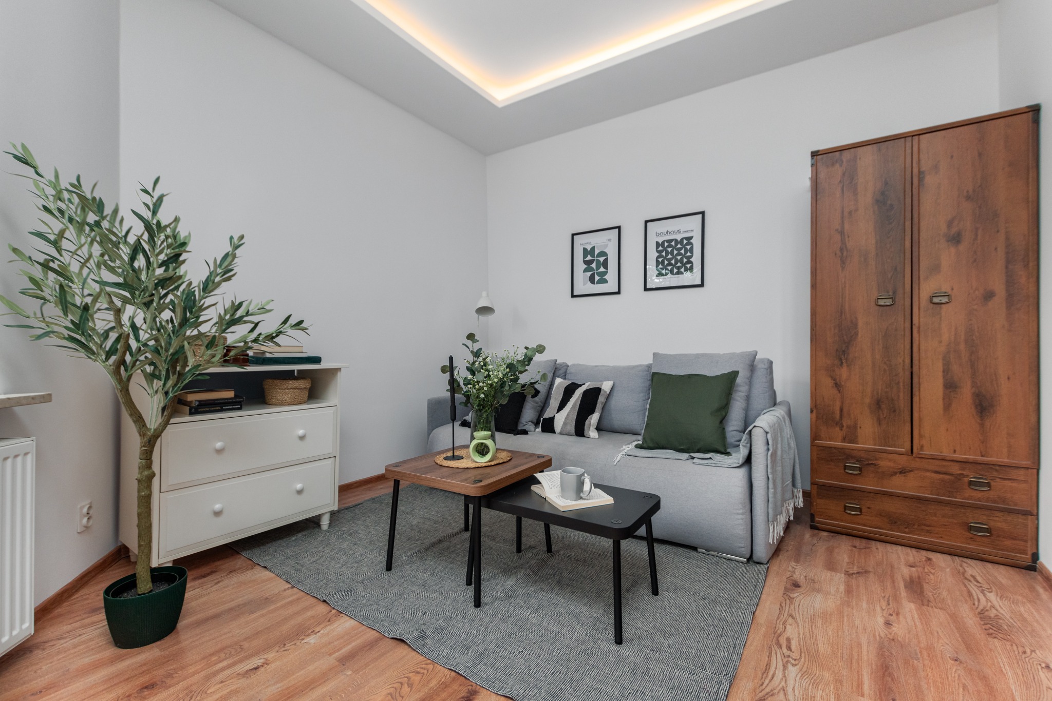 Jasne wnętrze pokoju po home stagingu: szara sofa z poduszkami, drewniana szafa, stoliki kawowe, komoda z rośliną w doniczce, dywan i obrazy na ścianie.