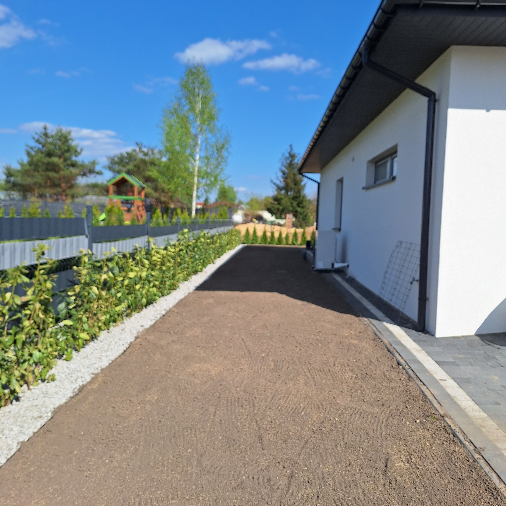 Przygotowany teren pod trawnik z rolki, obrzeża wyłożone białym grysem, w tle rząd młodych tuj i nowoczesny dom z szarą elewacją.