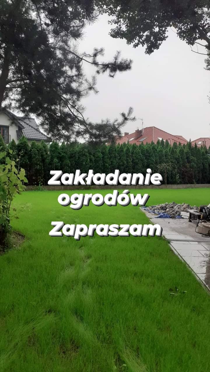 Świeżo założony trawnik z młodą trawą, widoczne ślady po pracach ziemnych, w tle rząd tuj i dom z czerwonym dachem. Na zdjęciu widoczny napis 'Zakładanie ogrodów Zapraszam'.