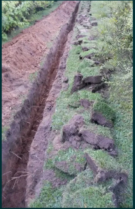 Długi, wąski wykop w ziemi, obok leżą wycięte darni trawy, widoczne korzenie.