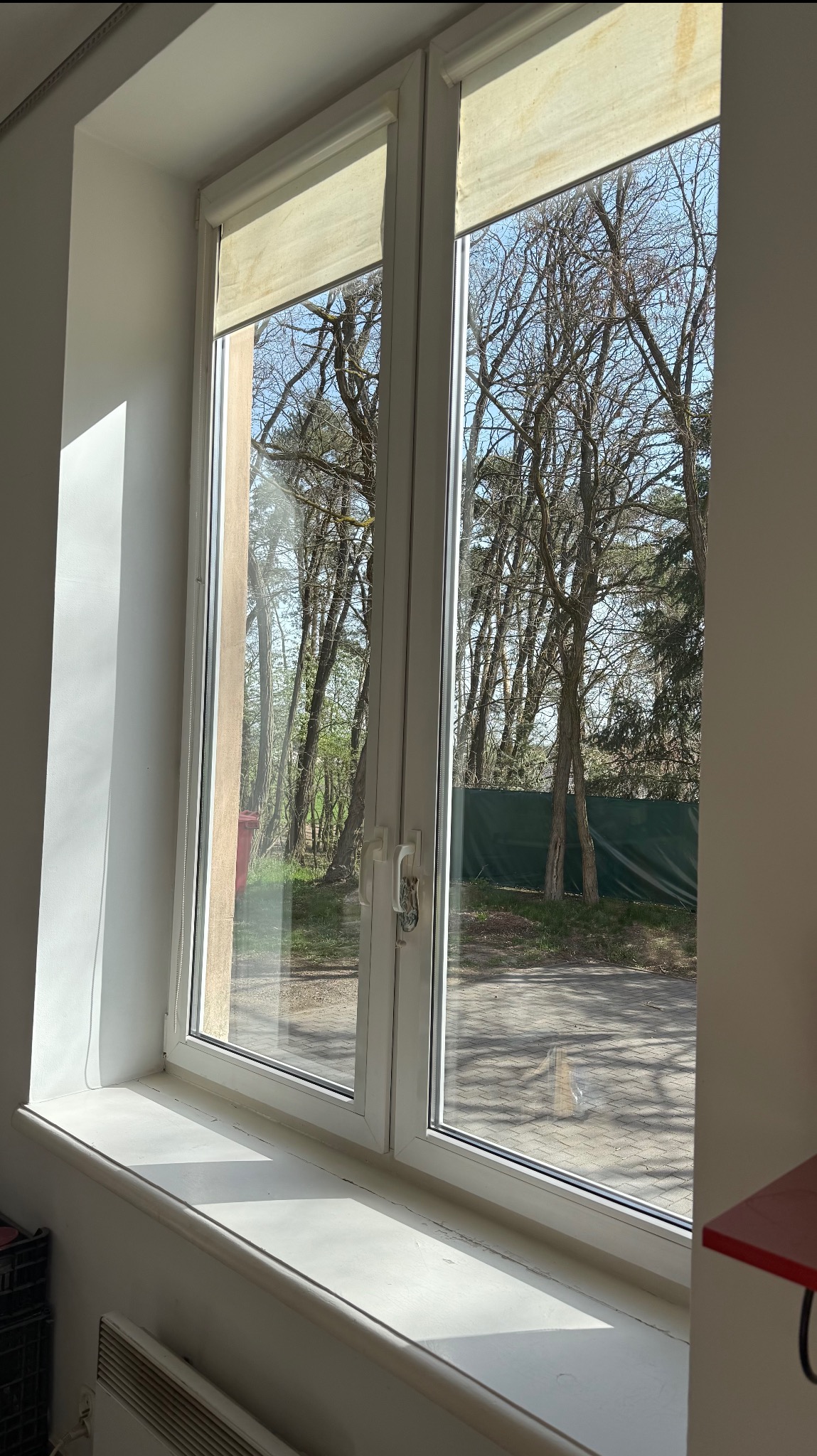 Białe okno z roletami, widok na drzewa i chodnik na zewnątrz. Widoczne ślady użytkowania na parapecie.