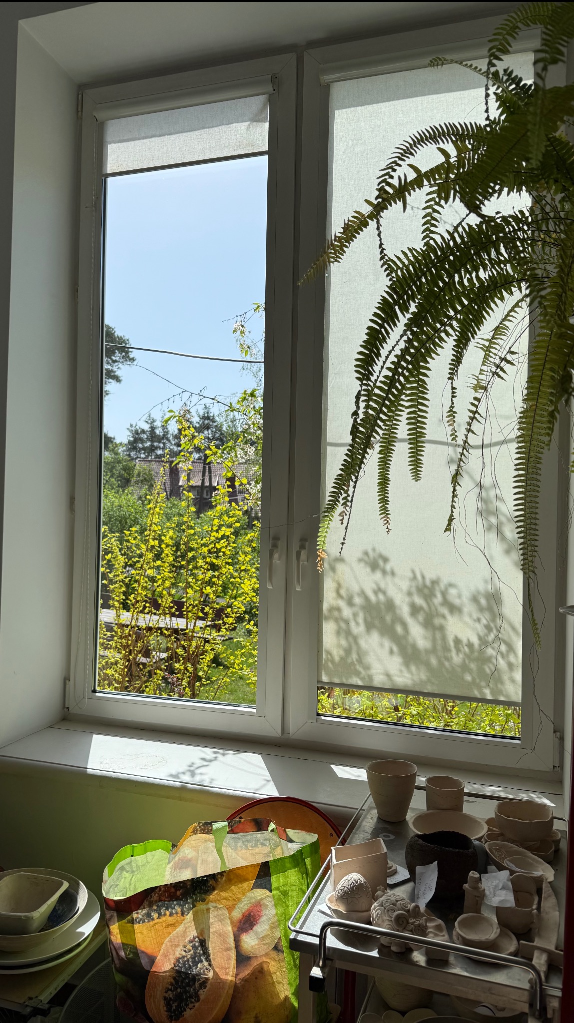 Widok z okna po umyciu, z roletą i paprocią. Na parapecie torba i naczynia ceramiczne. Czyste szyby ukazują zieleń ogrodu i błękit nieba.