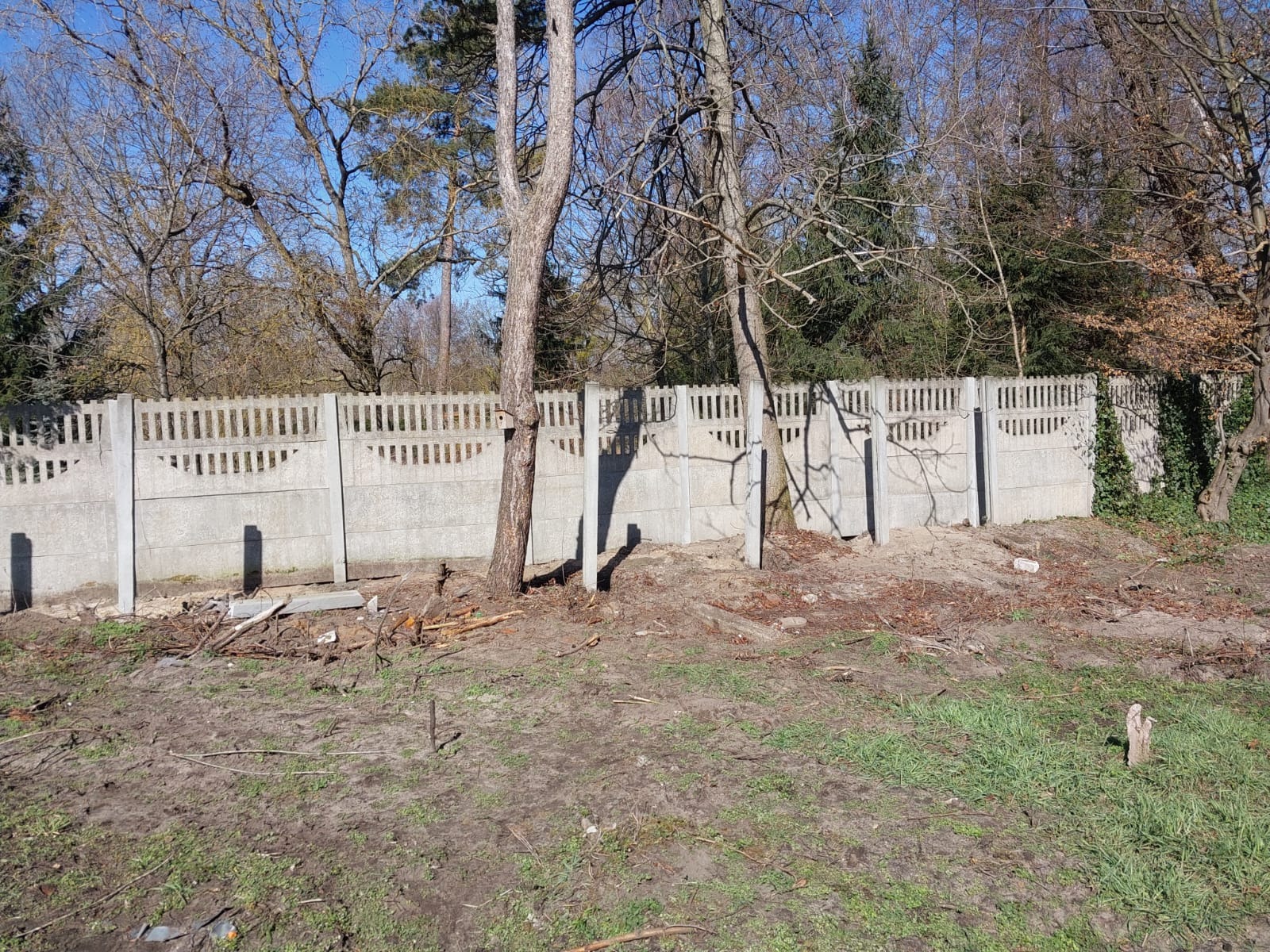 Szary betonowy płot panelowy z dekoracyjnymi wycięciami, częściowo zasłonięty przez drzewa, na tle lasu i błękitnego nieba. Teren przed płotem nierówny, z pozostałościami po wycince i fragmentami...