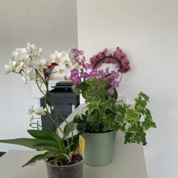 Wirtualne biuro Gdynia 2