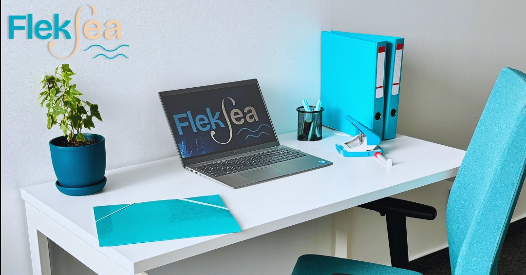 Białe biurko z laptopem wyświetlającym logo firmy Fleksea, turkusowymi segregatorami, dziurkaczem, doniczką z rośliną i teczką.