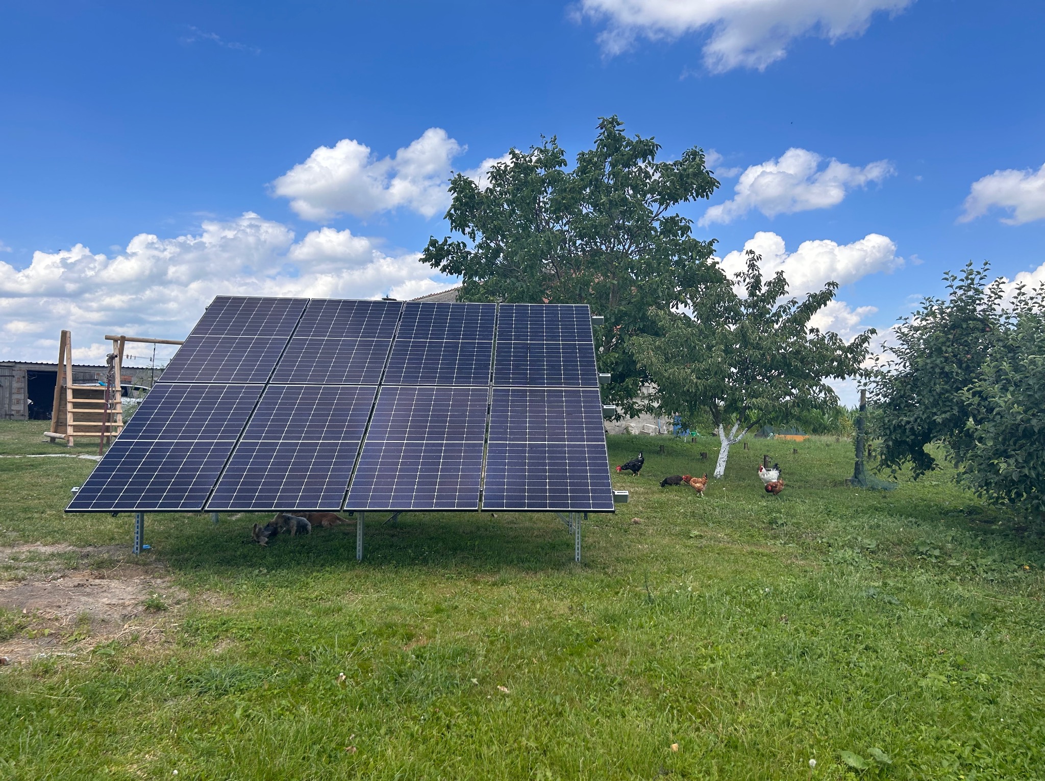 Panel fotowoltaiczny na metalowej konstrukcji na trawiastym terenie wiejskim, kury spacerujące w tle, błękitne niebo z obłokami.