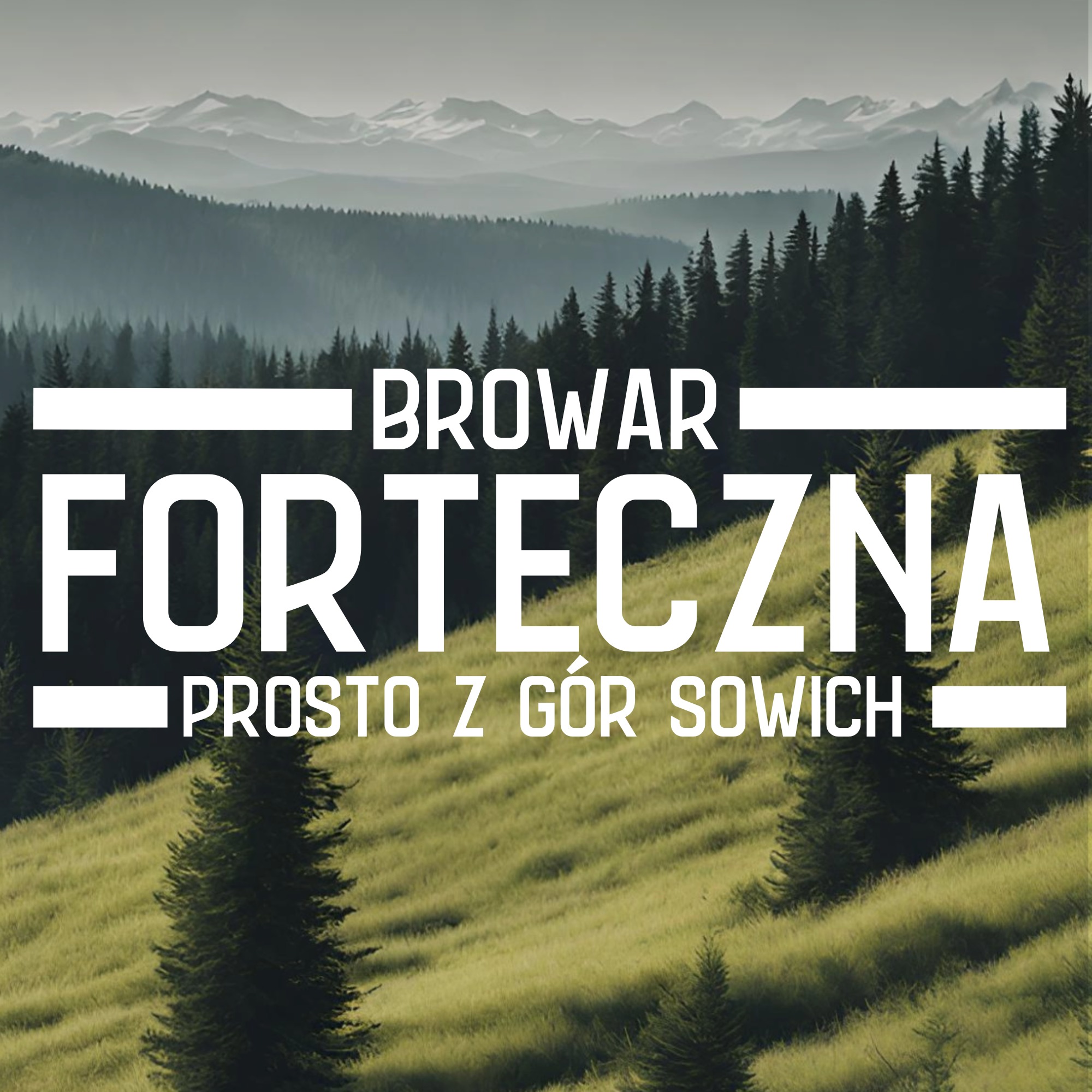 Grafika reklamowa browaru Forteczna z widokiem na góry Sowie, stylizowana na krajobraz z lasami i łąkami.