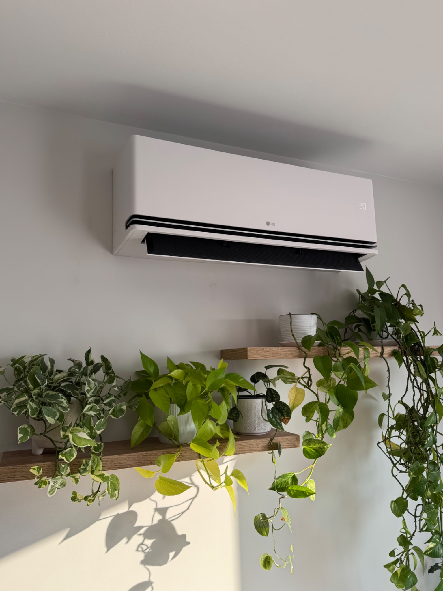 Biały klimatyzator LG na ścianie, otoczony półkami z zielonymi roślinami doniczkowymi, oświetlony popołudniowym słońcem.