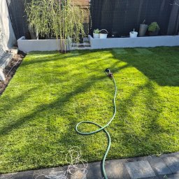 New Eden Usługi Ogrodnicze Mateusz Kazimierski - Świeżo ułożona trawa z rolki w ogrodzie przydomowym, z widocznym systemem nawadniania i elementami architektury ogrodowej w tle.