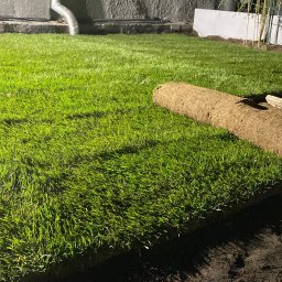 New Eden Usługi Ogrodnicze Mateusz Kazimierski - Świeżo rozłożona trawa z rolki w ogrodzie, częściowo jeszcze zwinięta, z widocznymi drewnianymi paletami w tle. Oświetlenie nocne.