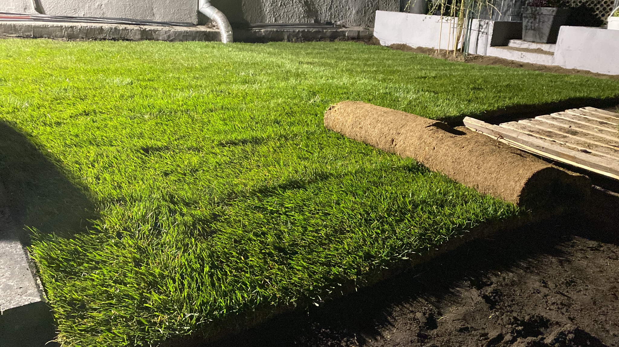 Świeżo rozłożona trawa z rolki w ogrodzie, częściowo jeszcze zwinięta, z widocznymi drewnianymi paletami w tle. Oświetlenie nocne.