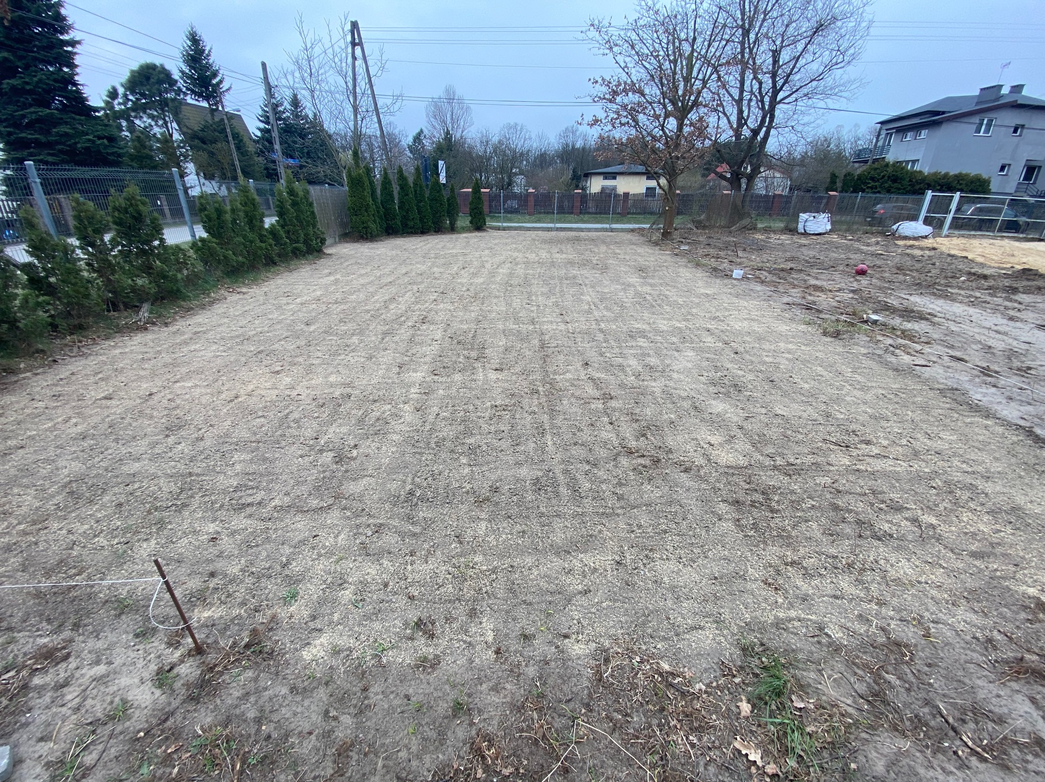 Przygotowany teren pod trawnik. Widoczny świeżo rozsypany piasek i nasiona trawy. W tle rząd tuj i zabudowa jednorodzinna.