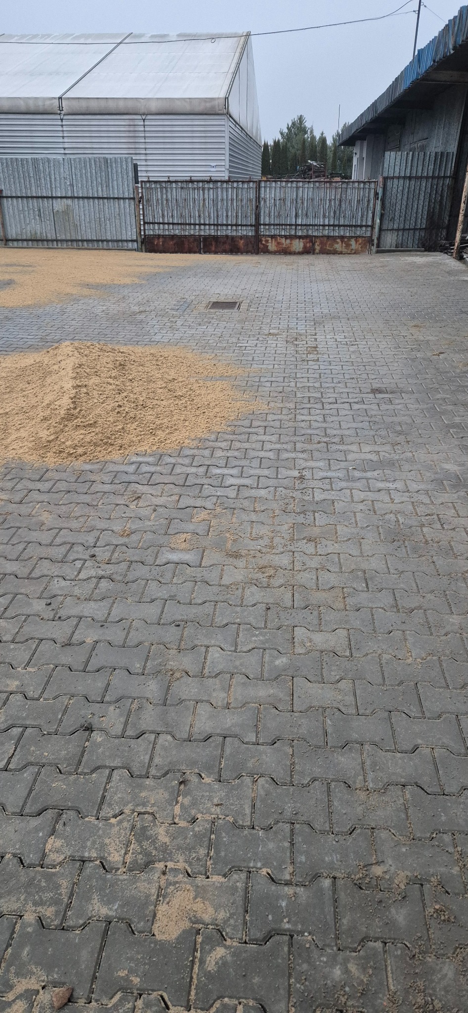 Szara kostka brukowa typu I z piaskiem na powierzchni, w tle metalowe ogrodzenie i budynek gospodarczy.