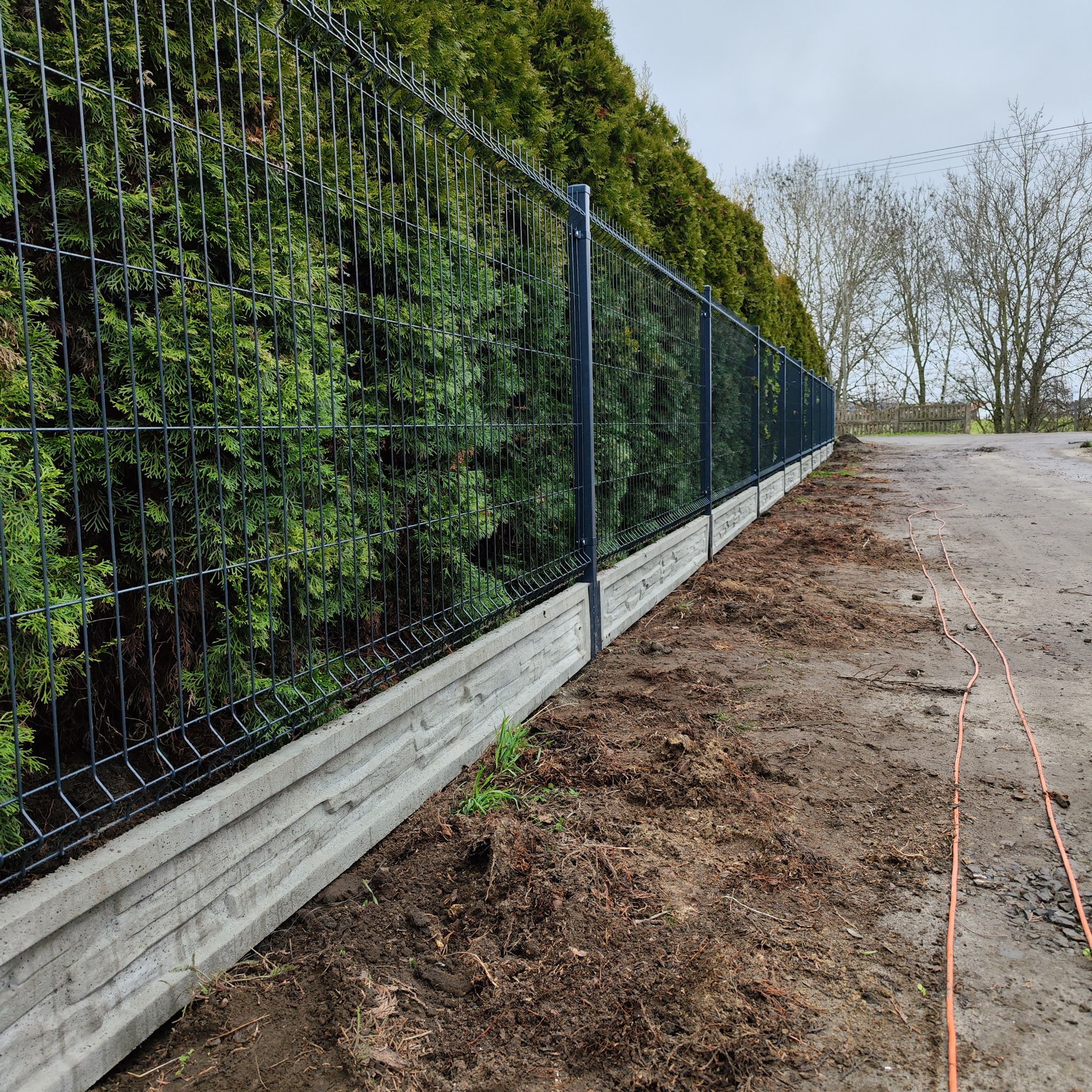 Długi, ciemny panelowy system ogrodzeniowy z betonową podmurówką, oddzielający posesję od drogi gruntowej, z żywopłotem z tui w tle.
