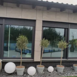 Nowoczesny dom z szarymi oknami, częściowo zasłoniętymi zewnętrznymi roletami, ozdobiony drzewkami w donicach i kulistymi lampami na tle zielonego trawnika.