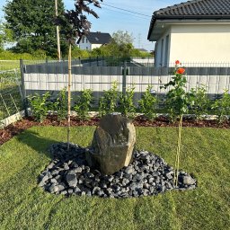 Brukowanie Łukasz Kosz - Ogród z nowoczesnym ogrodzeniem, dekoracyjnym kamiennym wodospadem otoczonym grysem, młodym drzewkiem o purpurowych liściach i kwitnącą różą.