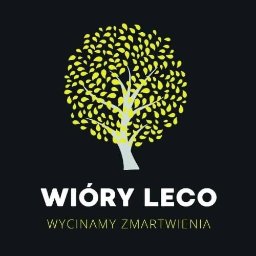 Wióry Leco Rafał Domański - Porządna Wycinka Drzew Parczew