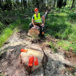 Wióry Leco Rafał Domański - Mężczyzna w kasku i kamizelce odblaskowej siedzi na ściętym pniu drzewa, w tle powalone drzewo i las, na pniu kliny do drewna.