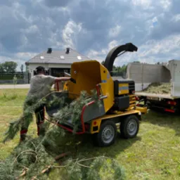 Pracownik w nausznikach wrzuca gałęzie drzewa iglastego do żółtej rębarki Schliesing z przyczepioną ciężarówką wypełnioną zrębkami na trawniku przed domem.