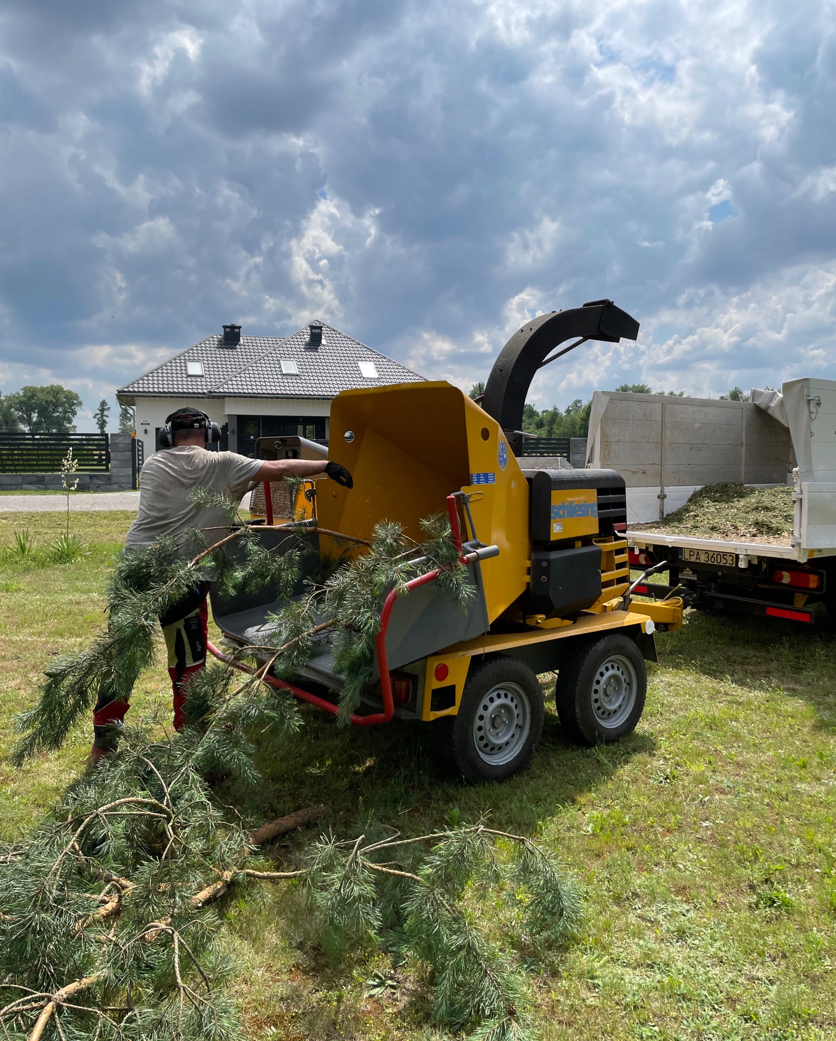 Pracownik w nausznikach wrzuca gałęzie drzewa iglastego do żółtej rębarki Schliesing z przyczepioną ciężarówką wypełnioną zrębkami na trawniku przed domem.