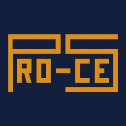 PRO-CES Feliks Noskowicz - Wzmacnianie Fundamentów Kamienna Góra