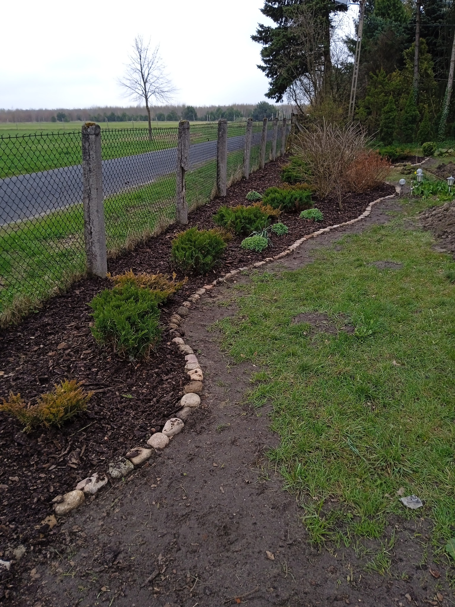 Ułożony brzeg rabaty z kamieni, obsadzona rabata z krzewami iglastymi i kora, w tle ogrodzenie z siatki.