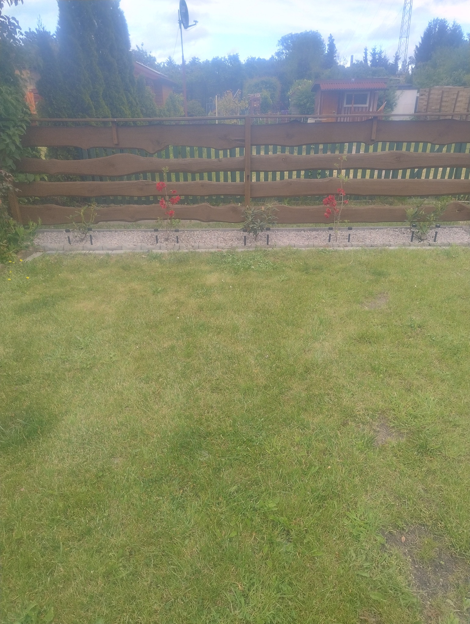 Drewniany płot z poziomych desek, rabata z kamykami i młodymi krzewami róż, trawnik. Widok na ogród i domy w tle, słoneczny dzień.