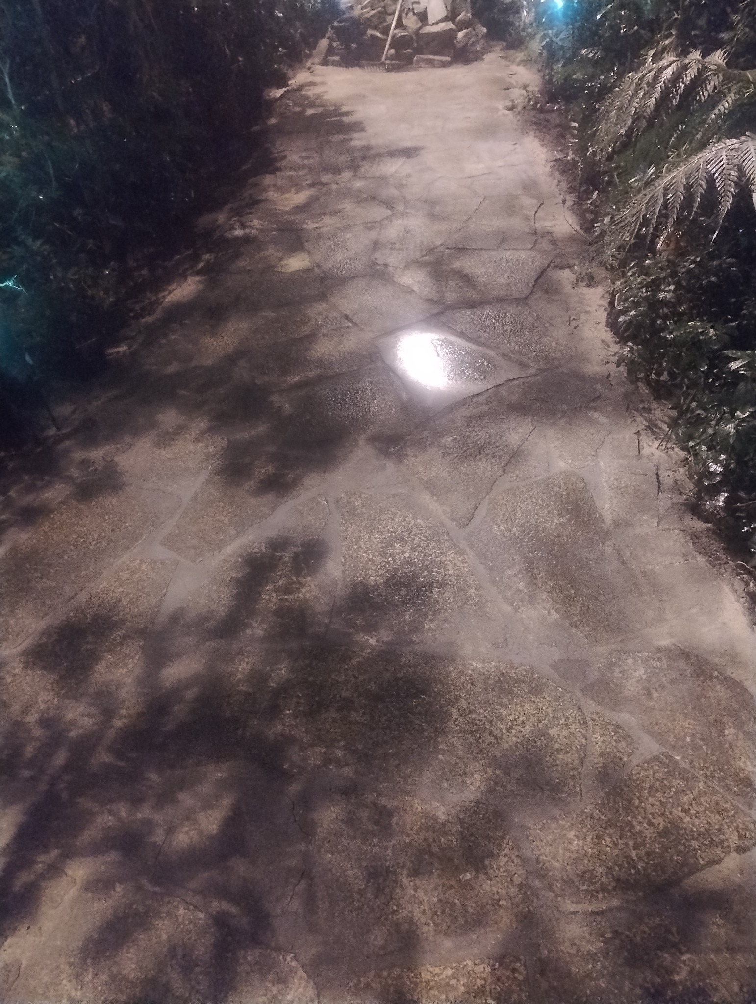 Ścieżka z nieregularnych kamieni w ogrodzie, z roślinnością po bokach i narzędziami w tle, oświetlona naturalnym światłem słonecznym.