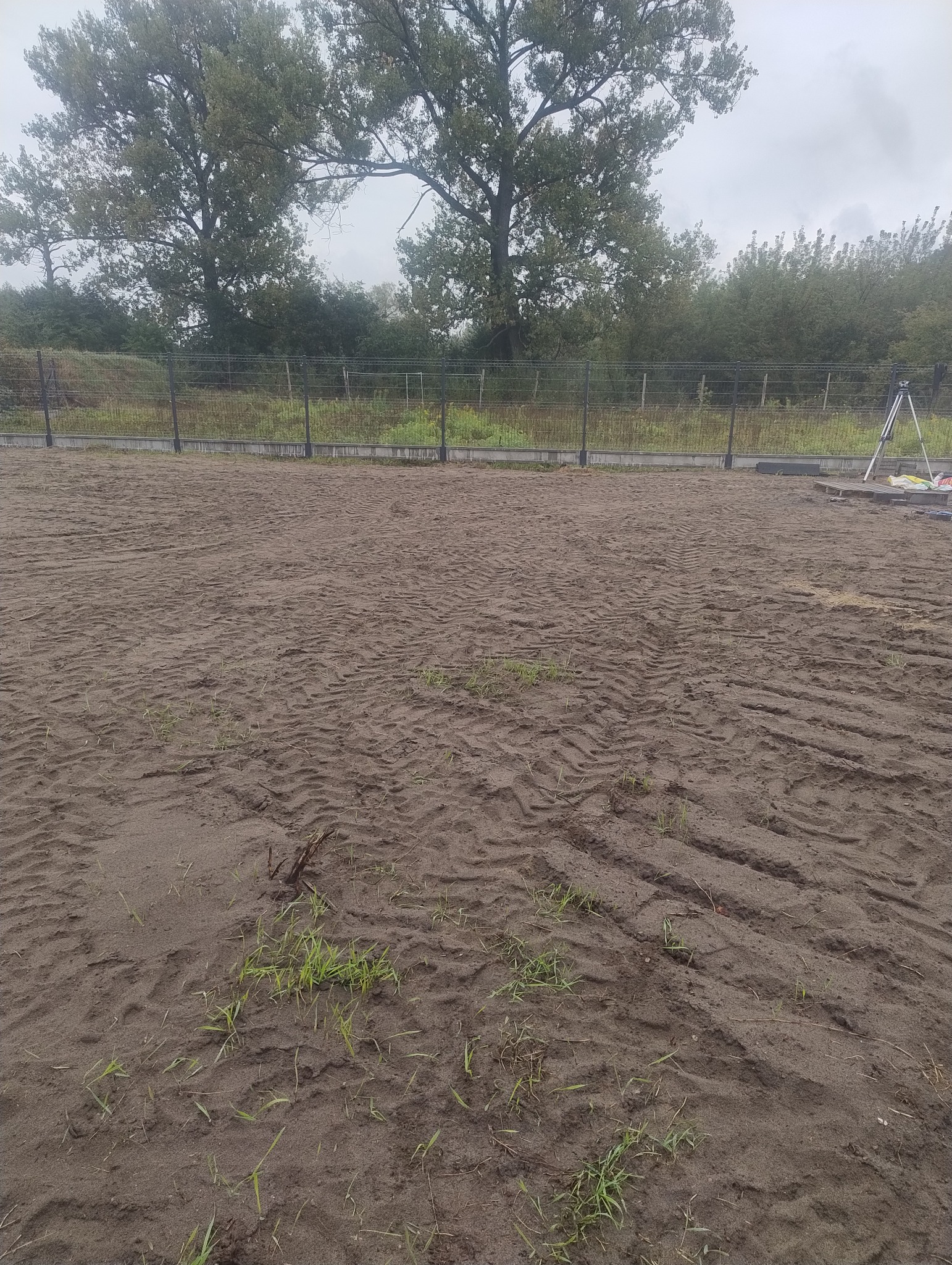 Przygotowany teren pod budowę z widocznymi śladami opon, ogrodzeniem z siatki i drzewami w tle. Widoczne niewielkie źdźbła trawy.