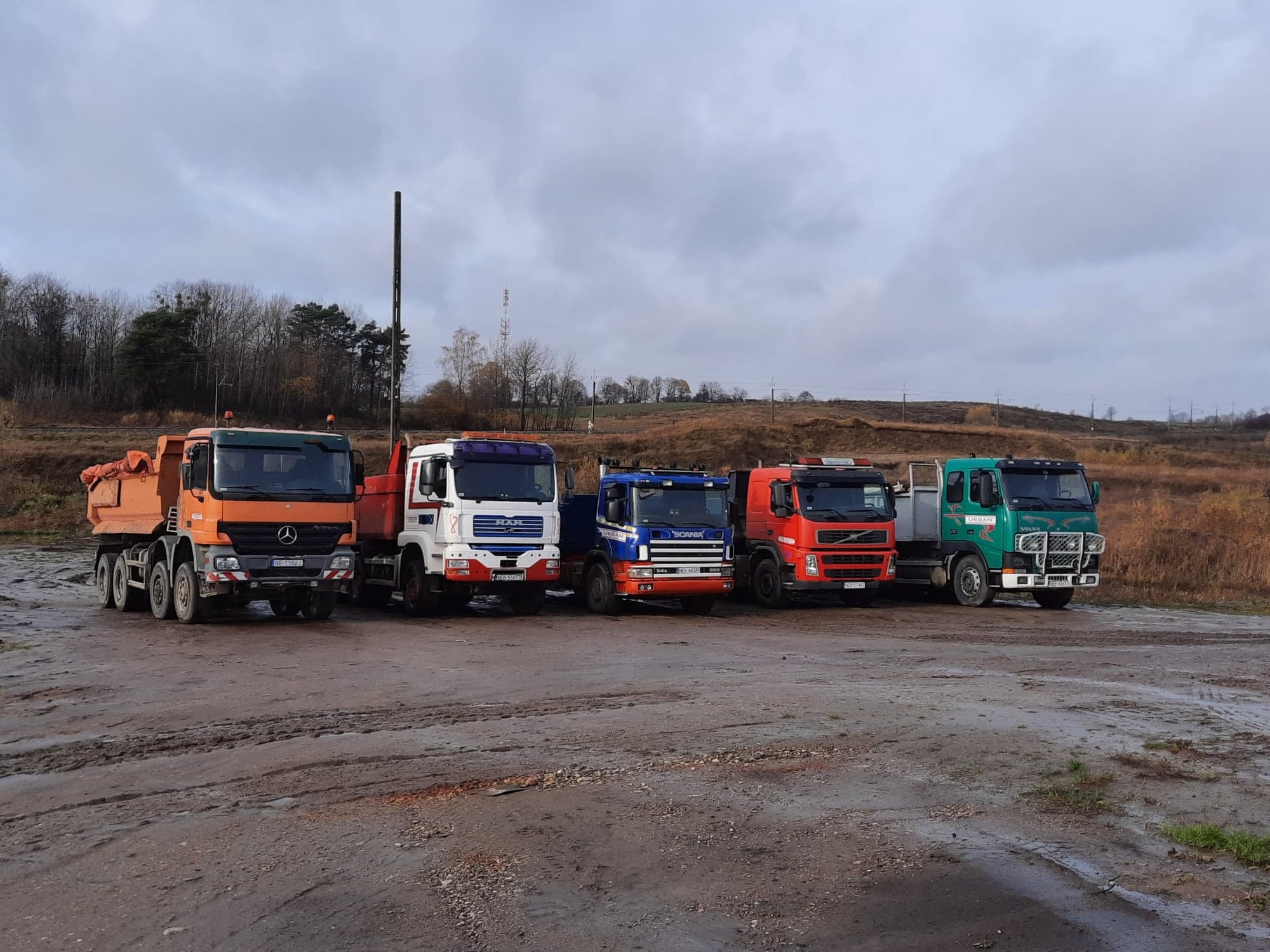 Rząd pięciu ciężarówek różnych marek (Mercedes, MAN, Scania, Volvo) zaparkowanych na błotnistym placu budowy w pochmurny dzień, widoczne drzewa i słup energetyczny w tle.