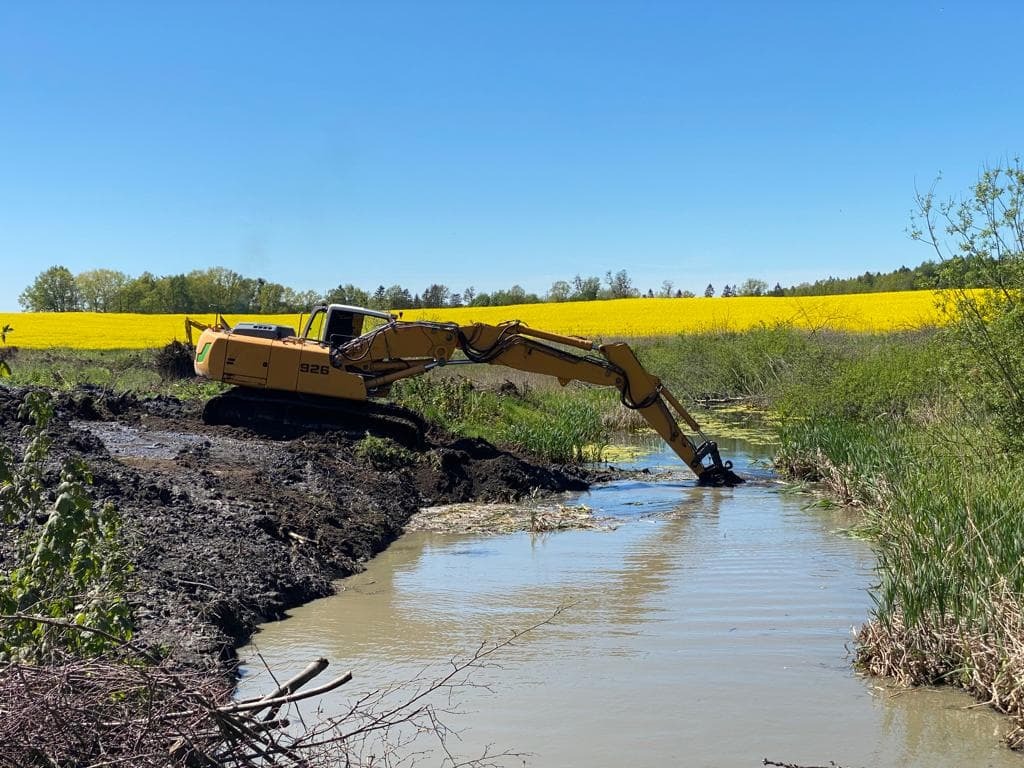 Żółta koparka Liebherr 926 pracuje w płytkim, mulistym cieku wodnym na tle pola rzepaku pod błękitnym niebem.