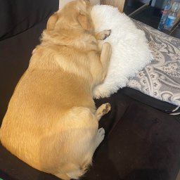 Nauczyciele angielskiego Częstochowa 3