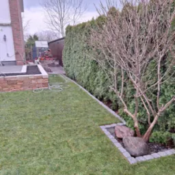 Uporządkowany ogród z równo przystrzyżonym trawnikiem, żywopłotem z tui, rabatą z kamienną obudową i dwoma dużymi kamieniami u podstawy drzewa bez liści, widoczny wąż ogrodowy i fragment tarasu...