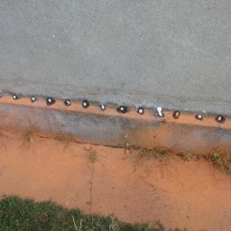 Kamienica mieszkalna.