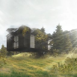 Archi Analysis - Wizualizacja nowoczesnego, czarnego domu z perforowanej blachy, częściowo porośniętego zielenią, umieszczonego w leśnej scenerii z mgłą w tle.