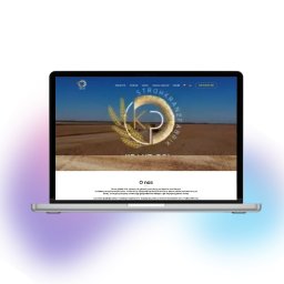 Realizacja strony internetowej Kranz-Pol polskiego producenta podkładów słomianych