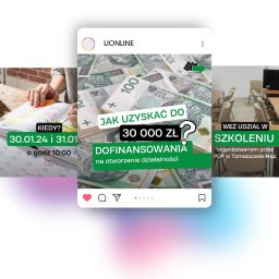 LIONLINE - Realizacja graficzna dla Powiatowego Urzędu Pracy
