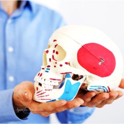 Rehabilitant Pelplin 1