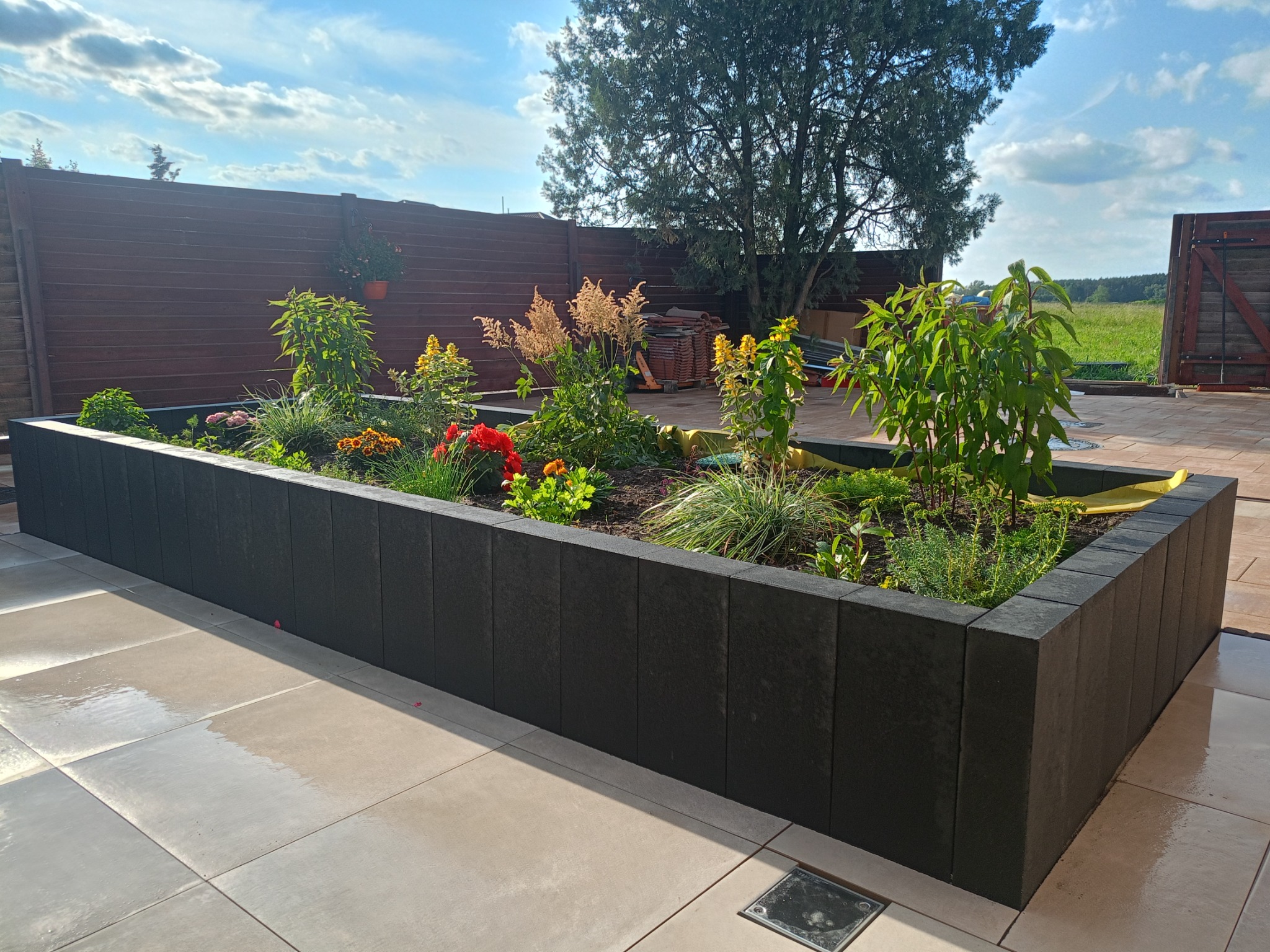 Czarna, podwyższona rabata z kostki otoczona jasną kostką brukową, z roślinami w środku, na tle drewnianego ogrodzenia i zieleni. Słoneczny dzień.