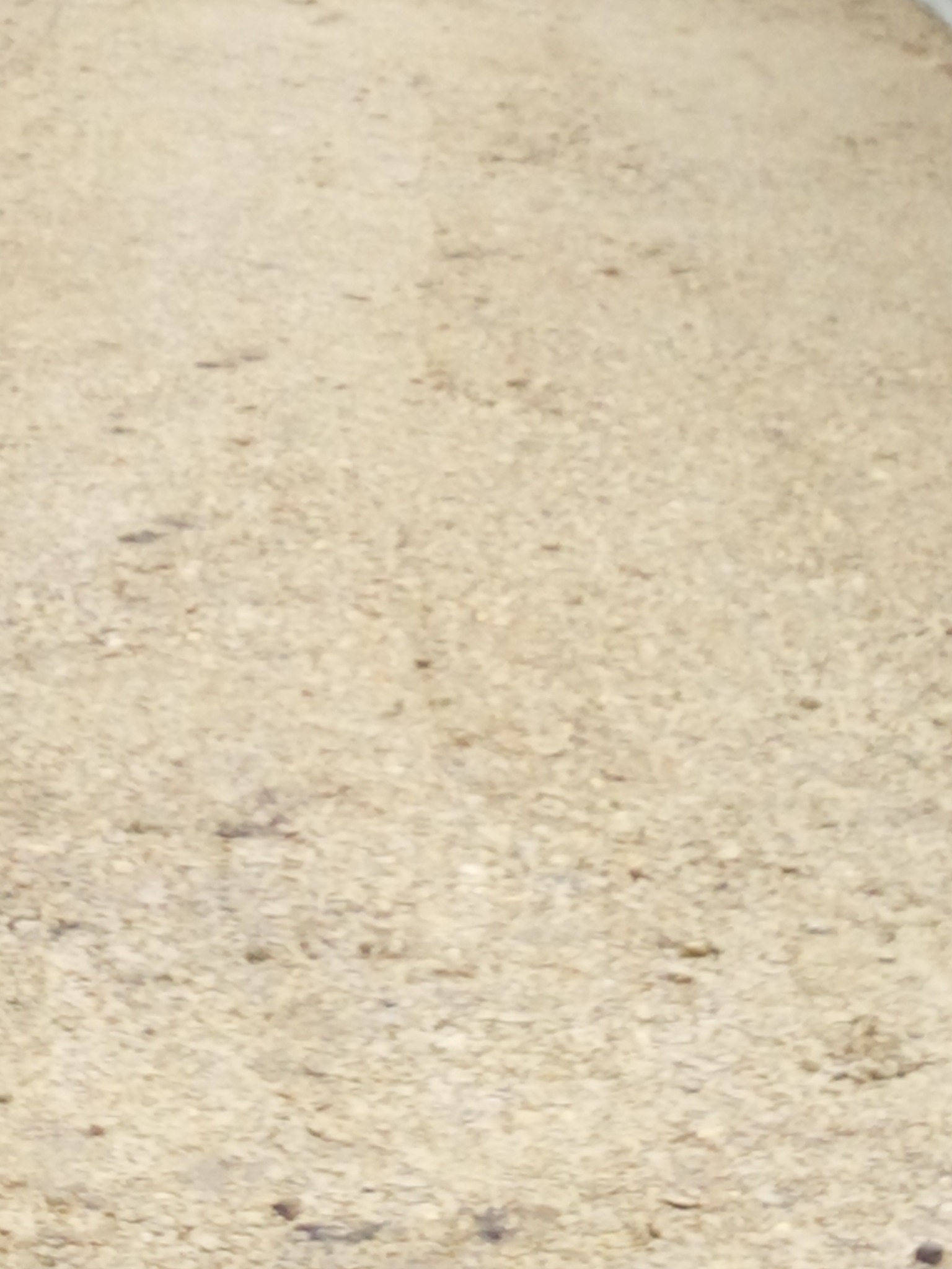 Beżowa, piaszczysta powierzchnia z drobnymi kamieniami, widziana z bliska, lekko rozmyta.