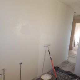 Osoba prywatna - Elewacje Dom&oacute;w Piętrowych Mieszkowo