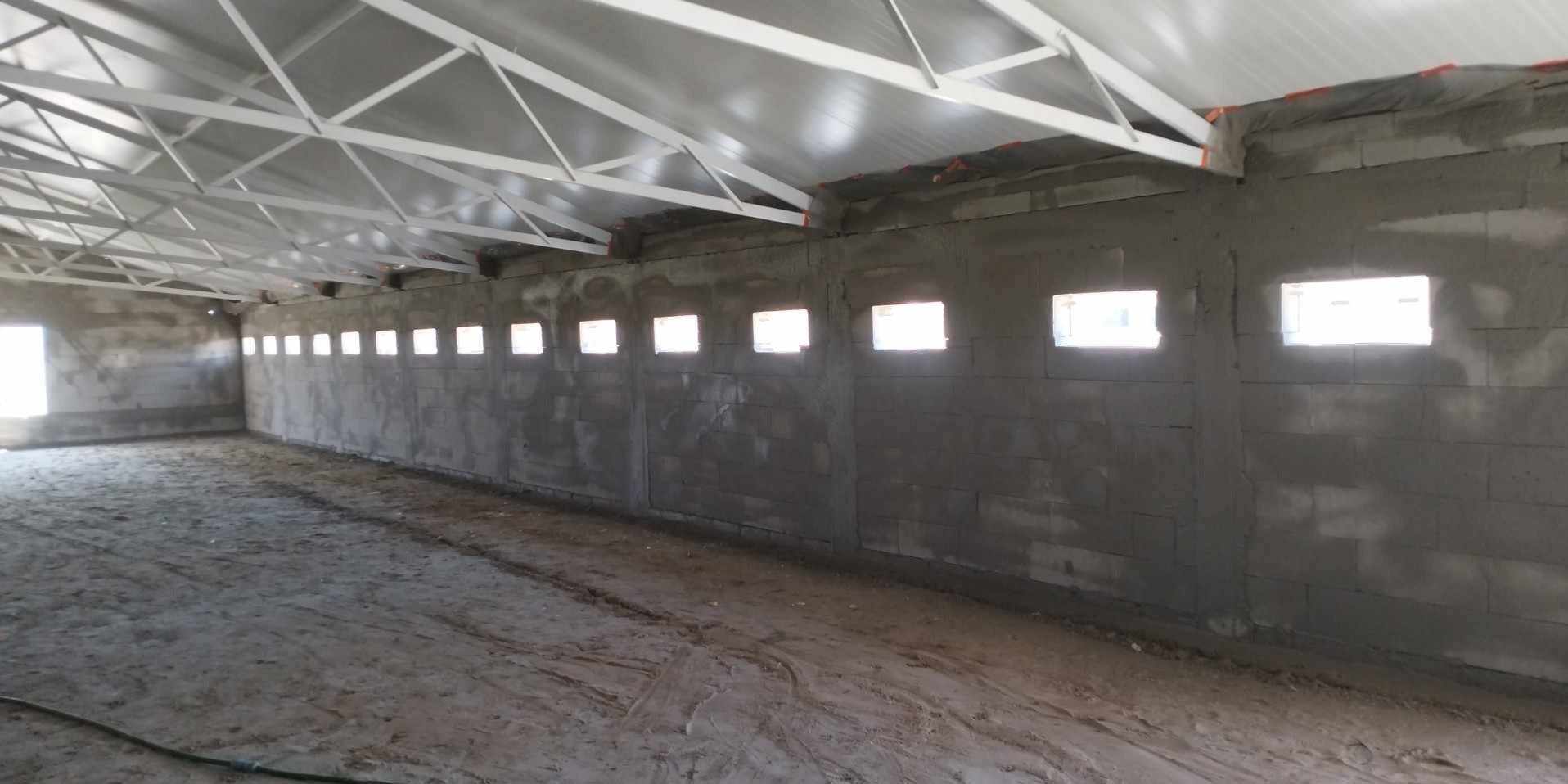 Wnętrze hali przemysłowej po tynkowaniu maszynowym, widoczne szare ściany z bloczków, regularnie rozmieszczone okna i biała konstrukcja dachu.